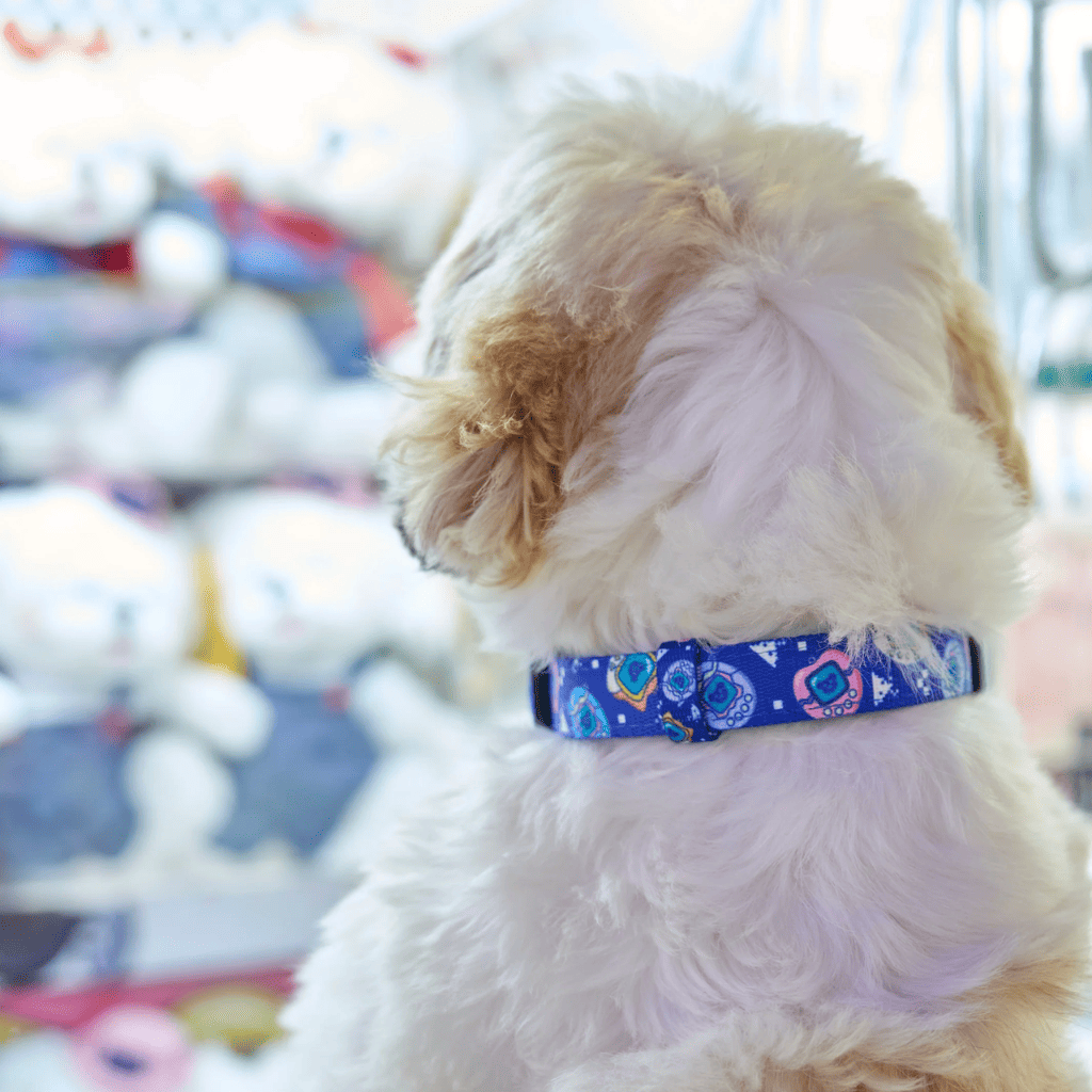 DUKIER Collar Dukigotchis L para perros