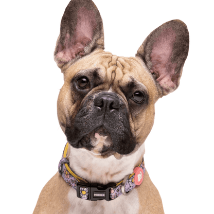 DUKIER Collar Flower Power M para perros