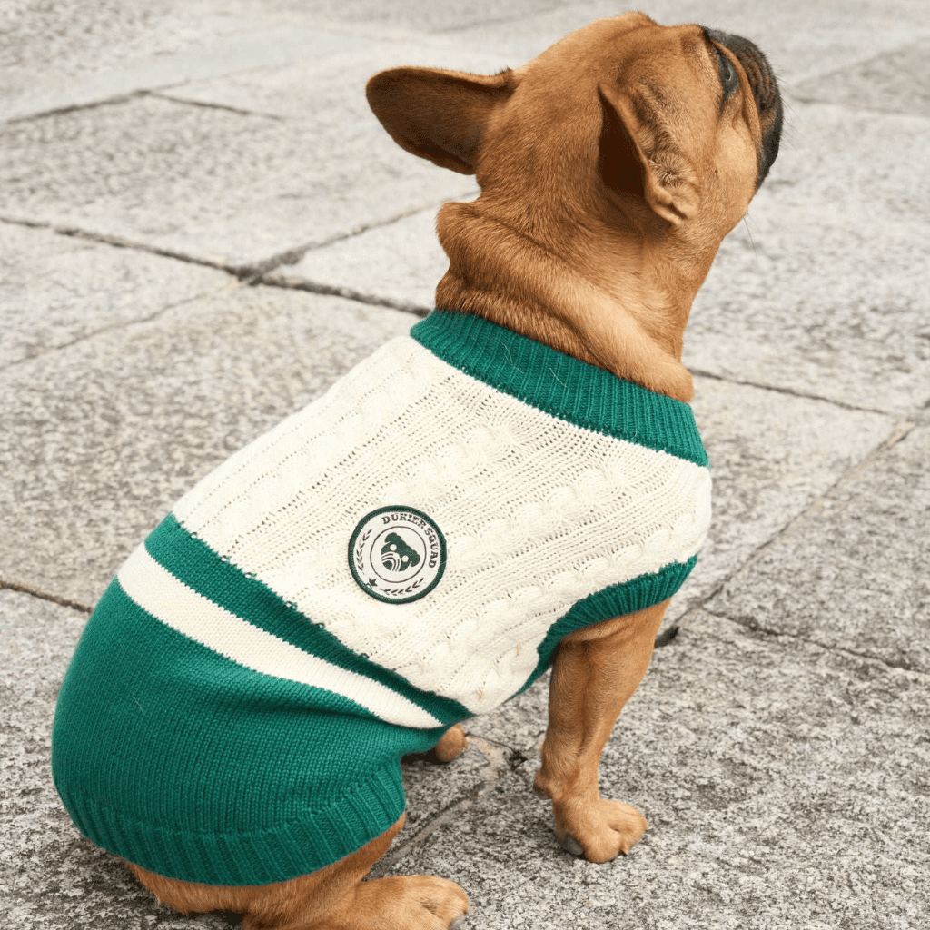 DUKIER Jersey Green para perros