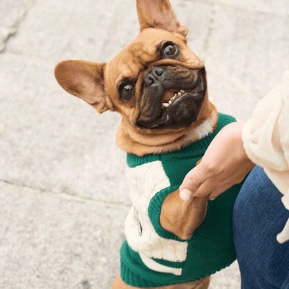 DUKIER Jersey Green para perros