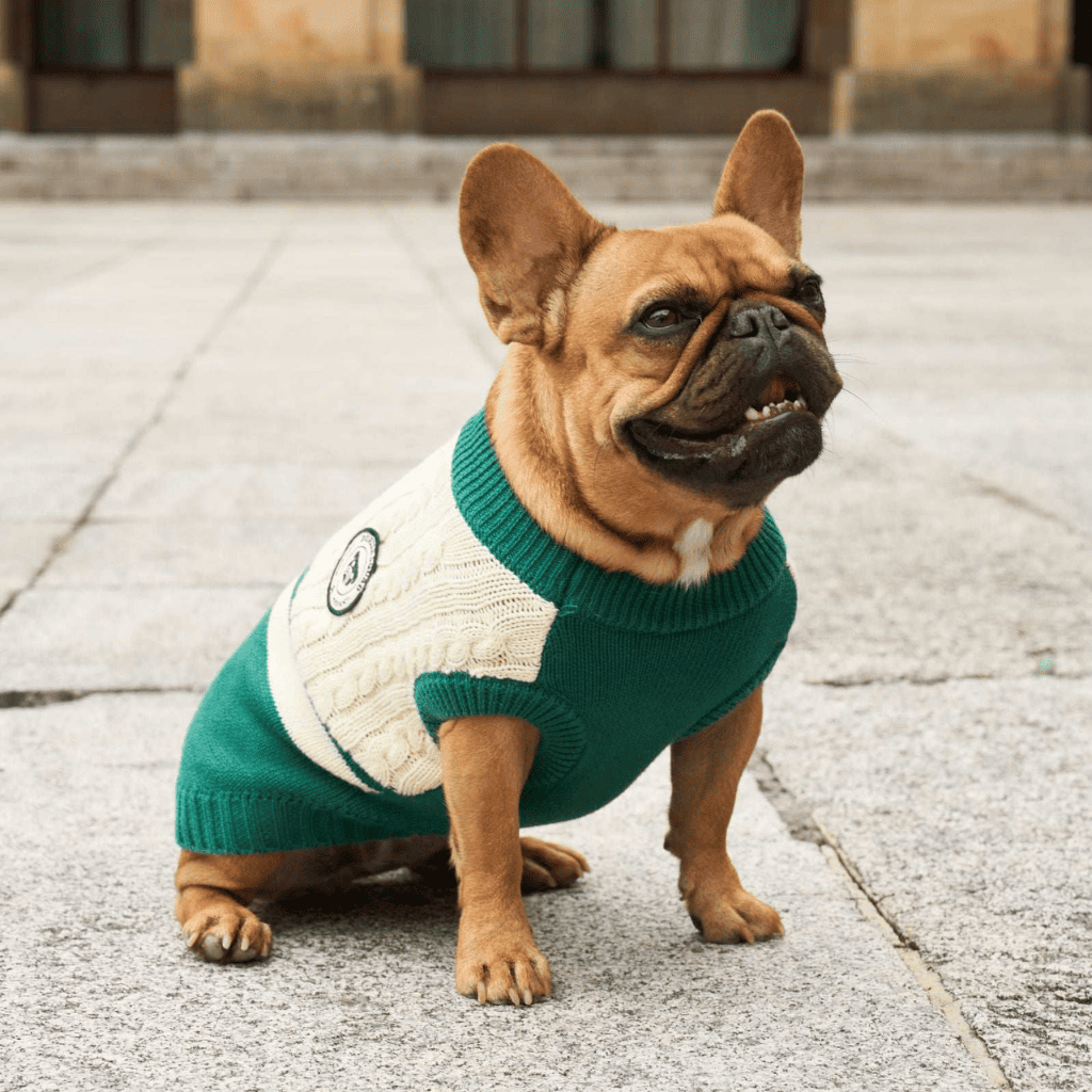 DUKIER Jersey Green para perros