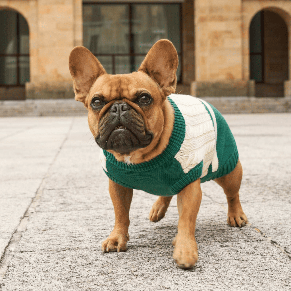 DUKIER Jersey Green para perros