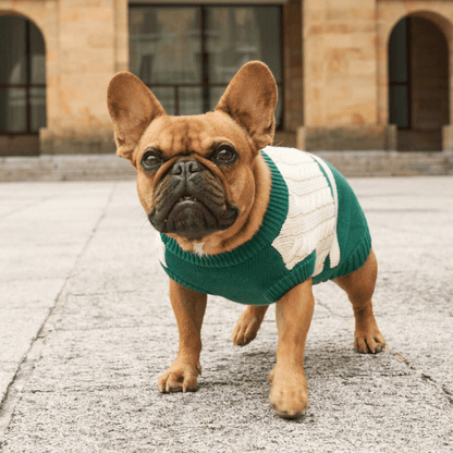 DUKIER Jersey Green para perros