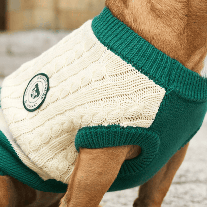 DUKIER Jersey Green para perros