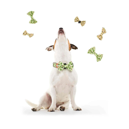 DUKIER Pajarita Avocado para perros