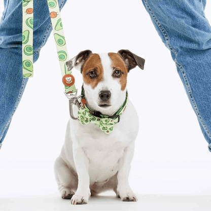 DUKIER Pajarita Avocado para perros