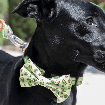 DUKIER Pajarita Avocado para perros