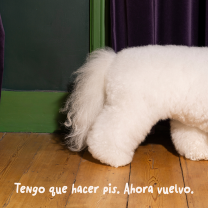 EDGARD&COOPER Guiso de Pollo 150 g para perros