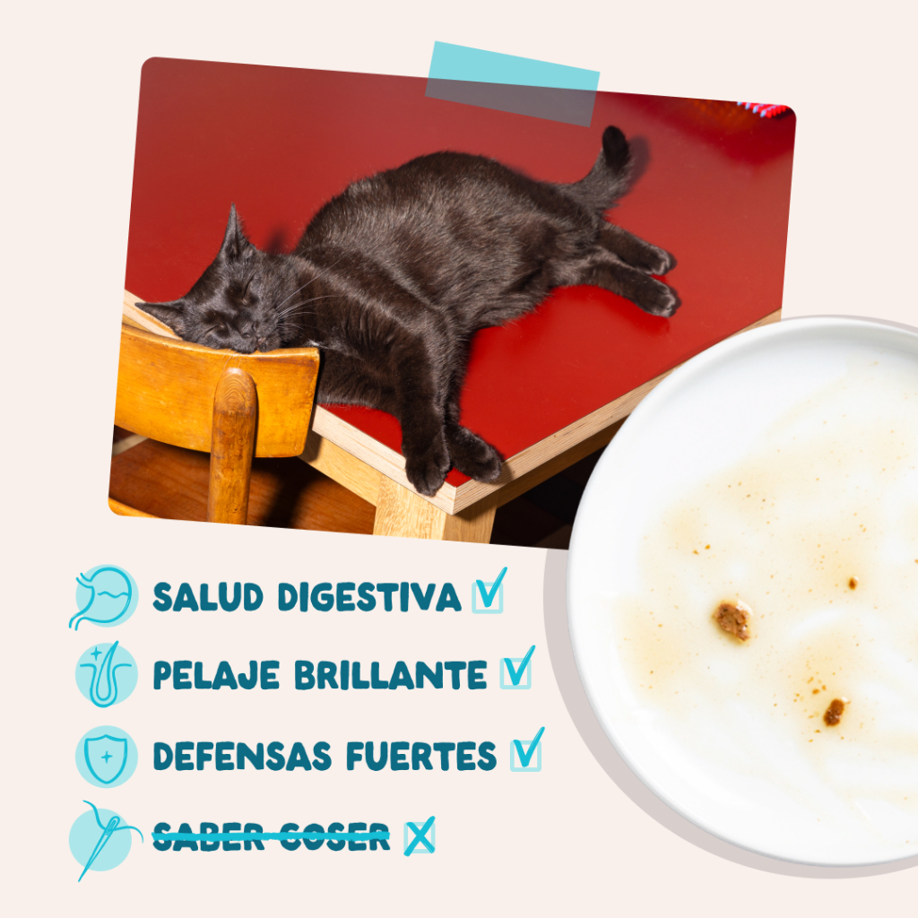 EDGARD&COOPER Atún y Pollo en Salsa 85 g para gatos