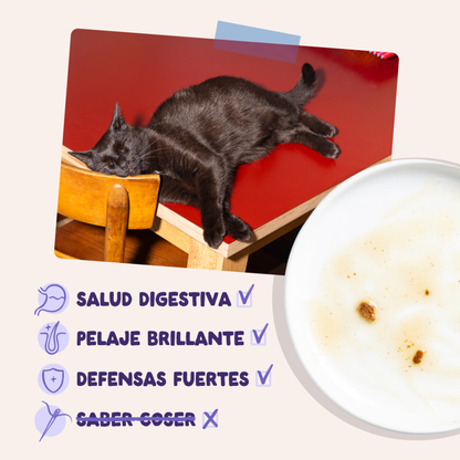 EDGARD&COOPER Pato y Pavo en Salsa 85 g para gatos