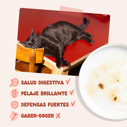 EDGARD&COOPER Trucha y Pollo en Salsa 85 g para gatos