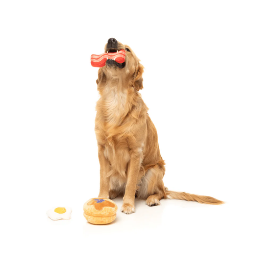 FUZZYARD Perfect Match Dog´s Breakfast para perros
