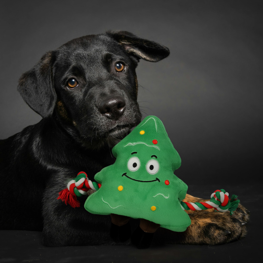 GLORIA Peluche Árbol de Navidad con Cuerda para perros