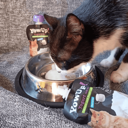 YowUp! Yogur 85 g para gatos