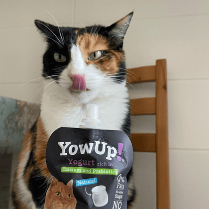 YowUp! Yogur 85 g para gatos