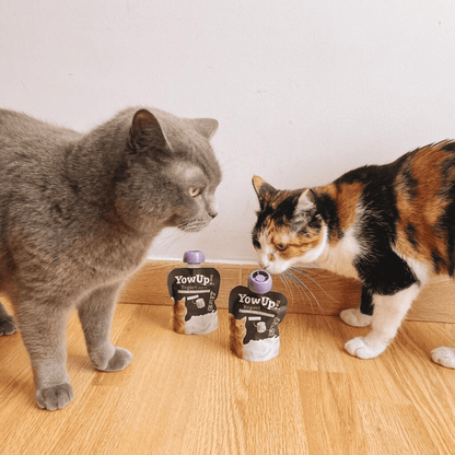 YowUp! Yogur 85 g para gatos