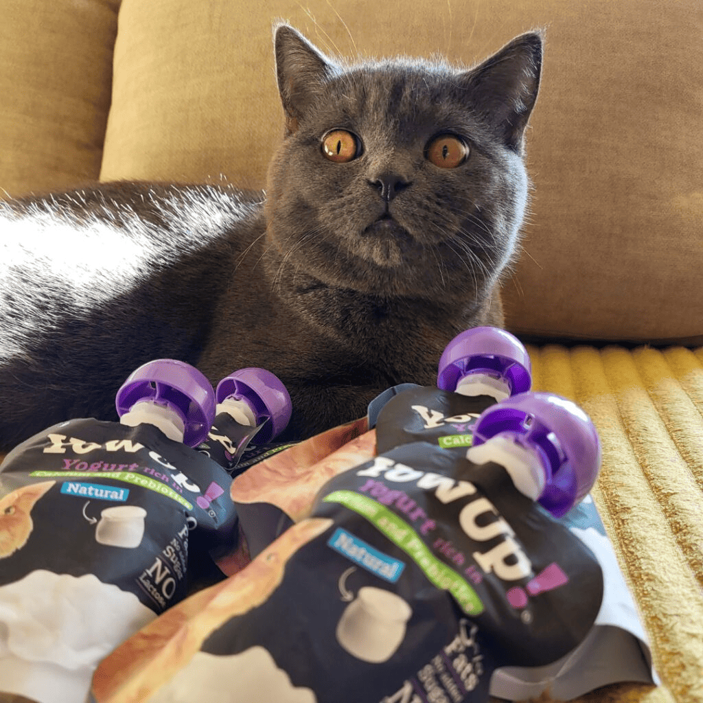 YowUp! Yogur 85 g para gatos