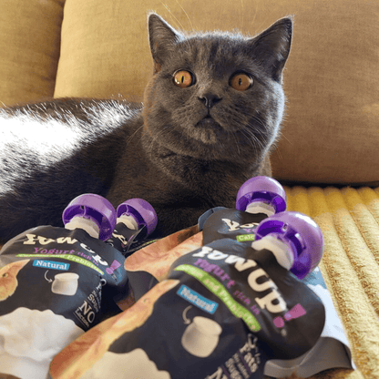 YowUp! Yogur 85 g para gatos