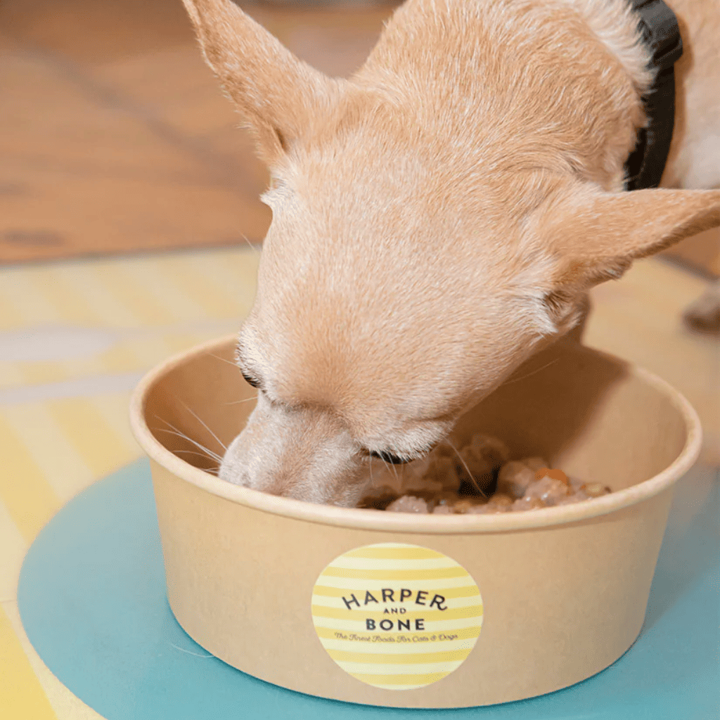 HARPER&BONE Albóndigas Flavours of the Farm 300 g para perros