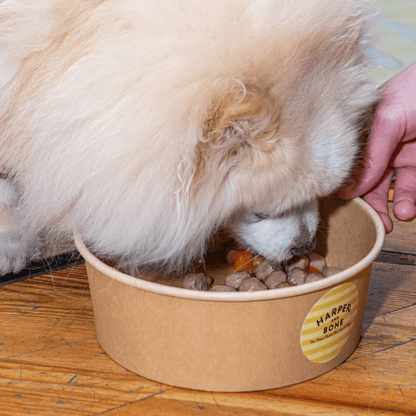 HARPER&BONE Albóndigas Ocean Wonders 300 g para perros