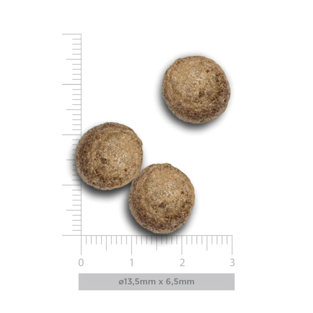 HARPER&BONE Flavours of the farm Adult Dog para perros