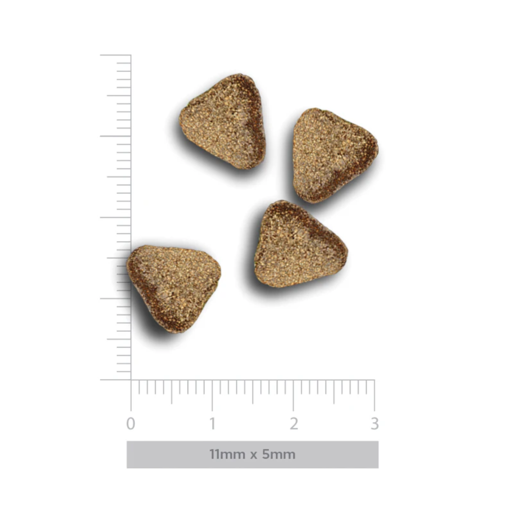 HARPER&BONE Ocean Wonders Adult Mini para perros