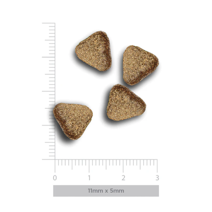 HARPER&BONE Ocean Wonders Adult Mini para perros