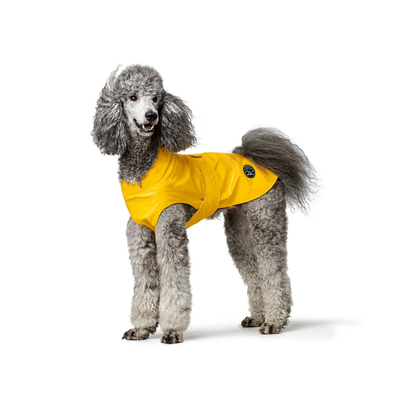 HUNTER Abrigo Milford para perros