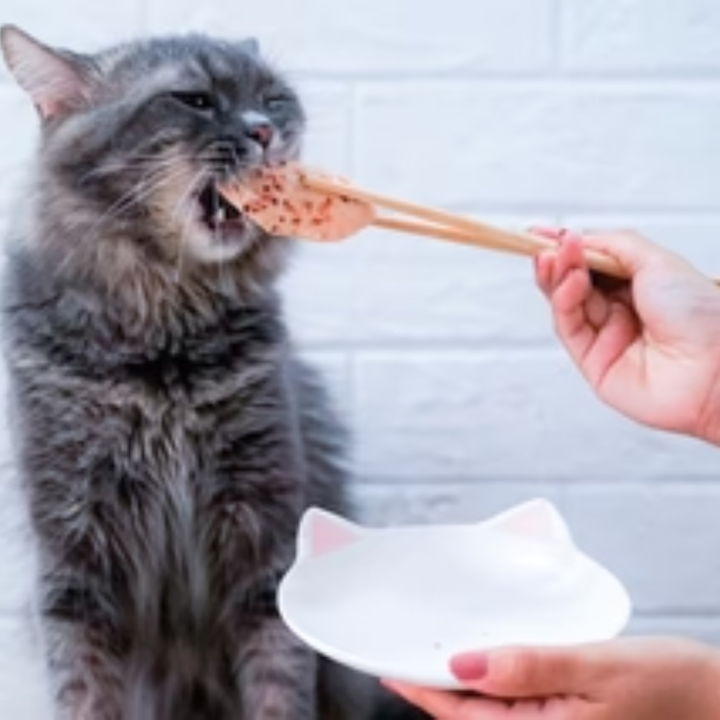 KIT CAT FilletFresh Caballa a la Parrilla 30 g para gatos