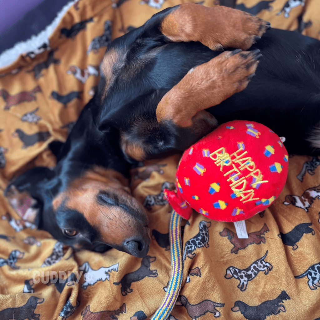 KONG Peluche Globo Cumpleaños