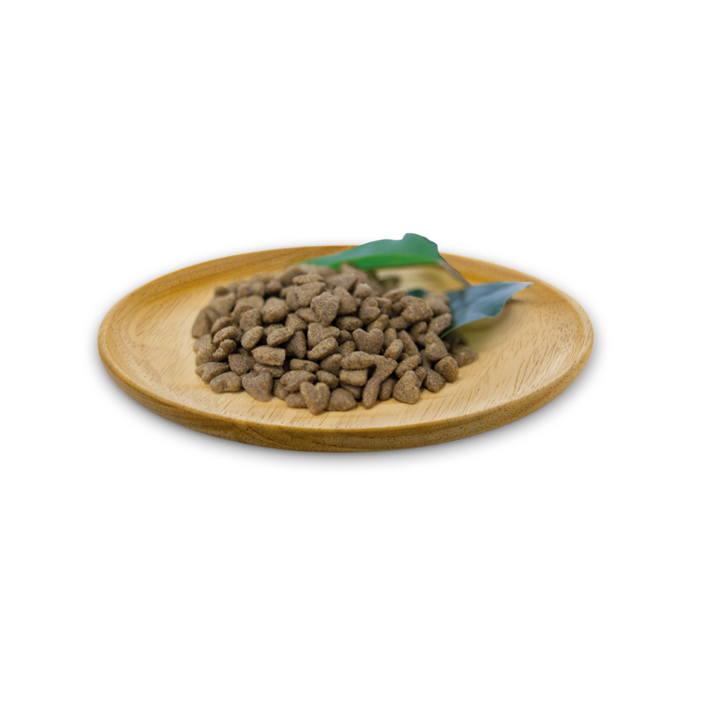 NATURAL GREATNESS Atlantic Sea para gatos
