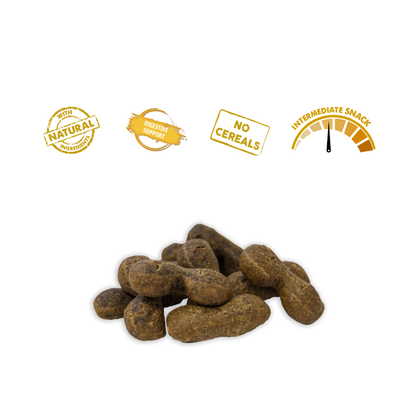 NATURAL GREATNESS Galletas Horneadas Pavo, Calabaza, Boniato y Quinoa (Digestivas) 100 g para perros