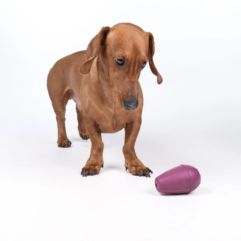 RUCAN Conic Dureza Alta Caucho 100% Natural para perros