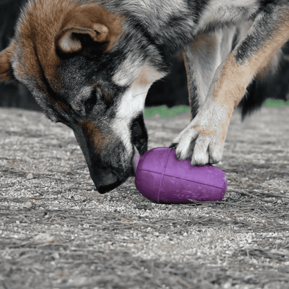 RUCAN Conic Dureza Alta Caucho 100% Natural para perros