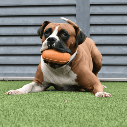 RUCAN Conic Dureza Media Caucho 100% Natural para perros