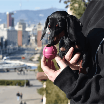 RUCAN DogBall Dureza Alta Caucho 100% Natural para perros