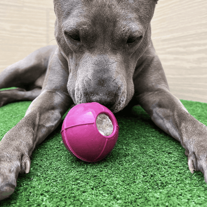 RUCAN DogBall Dureza Alta Caucho 100% Natural para perros