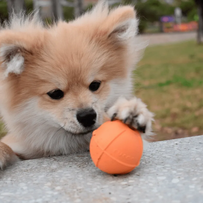 RUCAN DogBall Dureza Media Caucho 100% Natural para perros