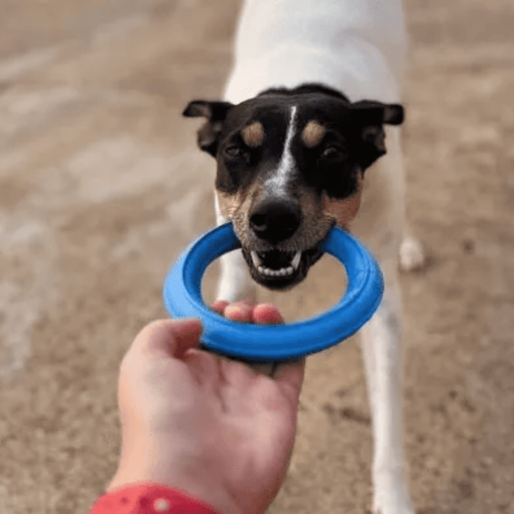RUCAN Sky Rings Caucho 100% Natural para perros