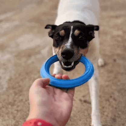 RUCAN Sky Rings Caucho 100% Natural para perros