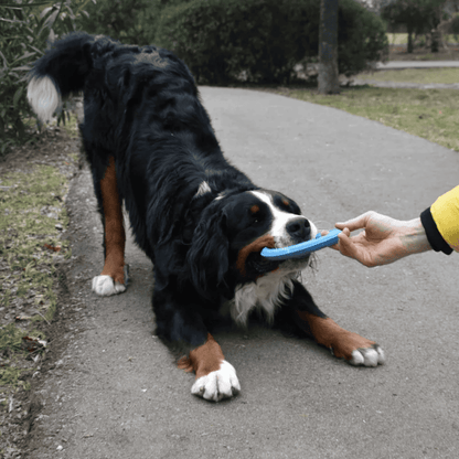 RUCAN Sky Rings Caucho 100% Natural para perros
