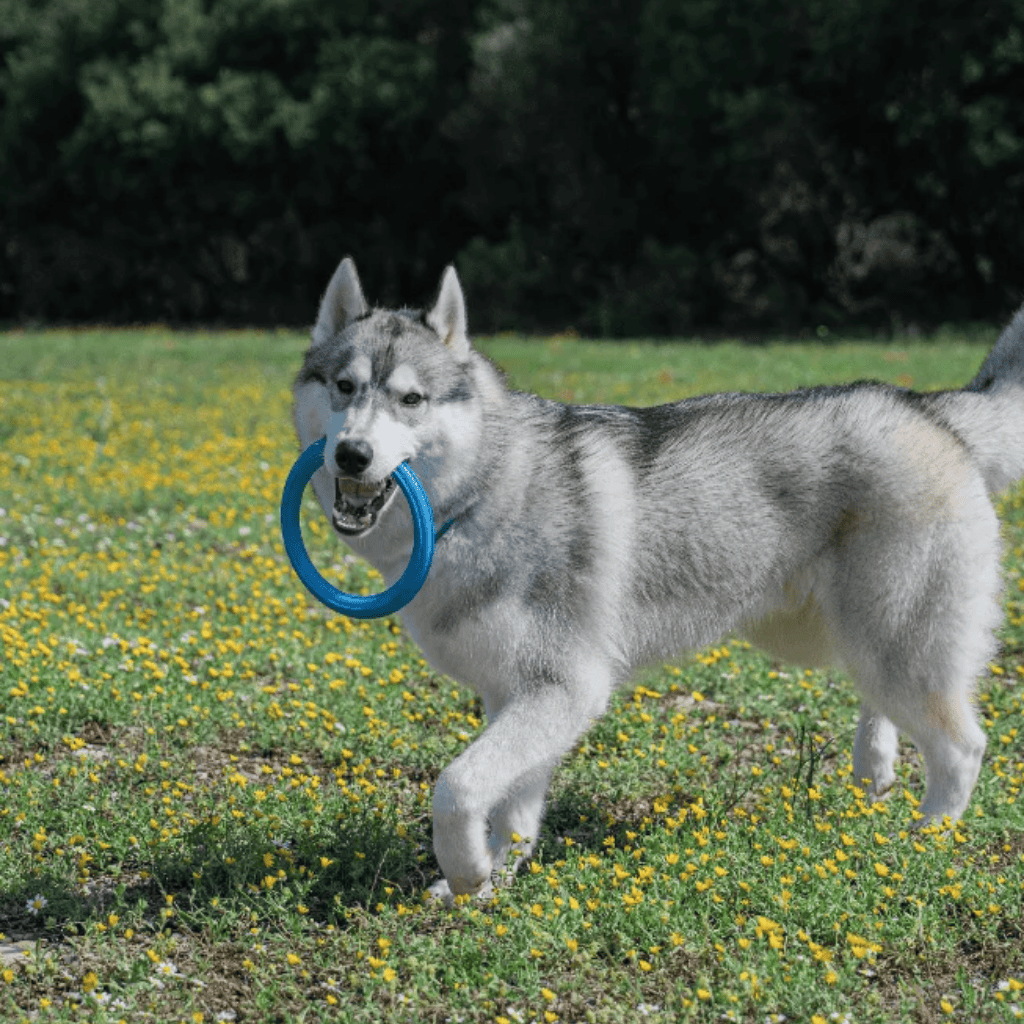 RUCAN Sky Rings Caucho 100% Natural para perros