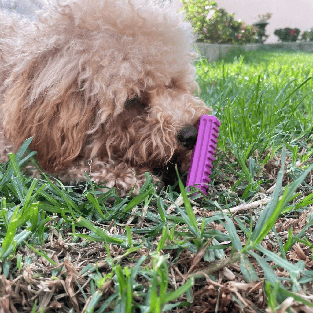 RUCAN Stick 5 Caucho 100% Natural para perros