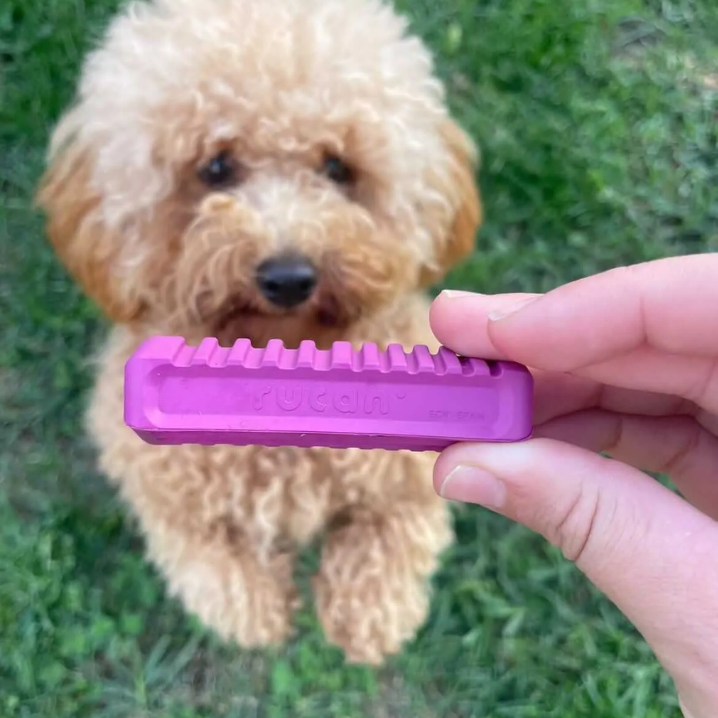 RUCAN Stick 5 Caucho 100% Natural para perros