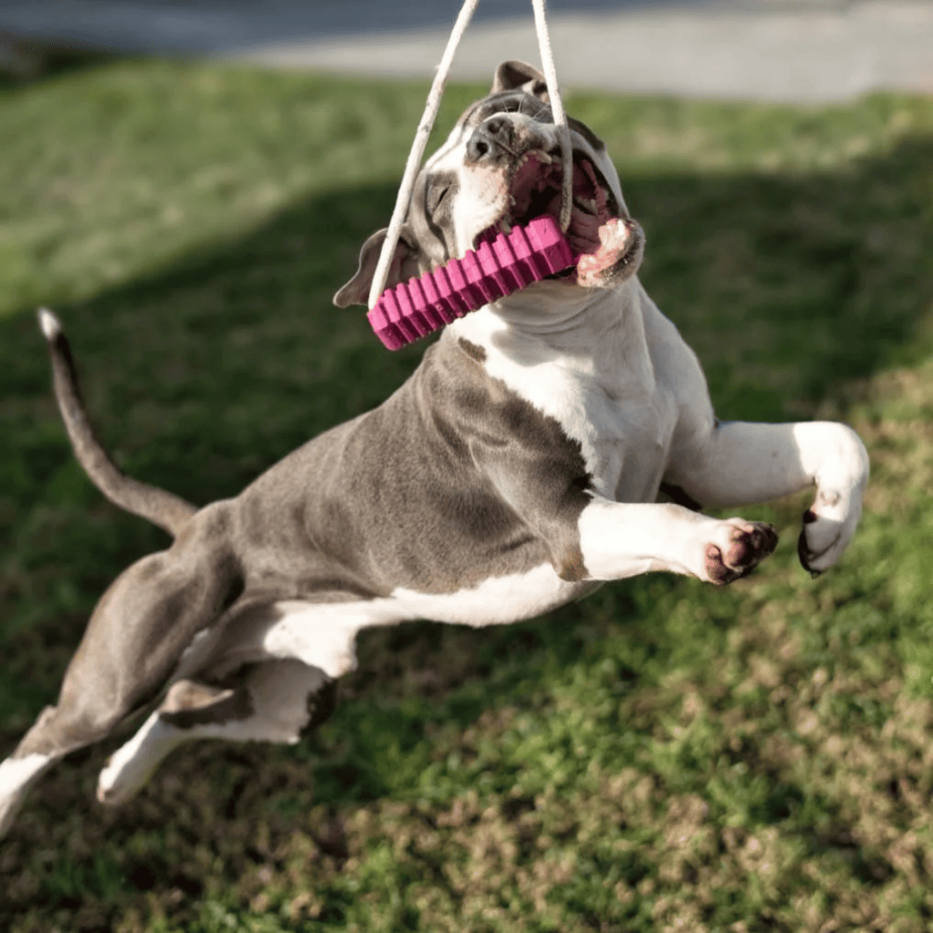 RUCAN Stick 5 Caucho 100% Natural para perros