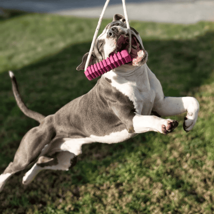 RUCAN Stick 5 Caucho 100% Natural para perros