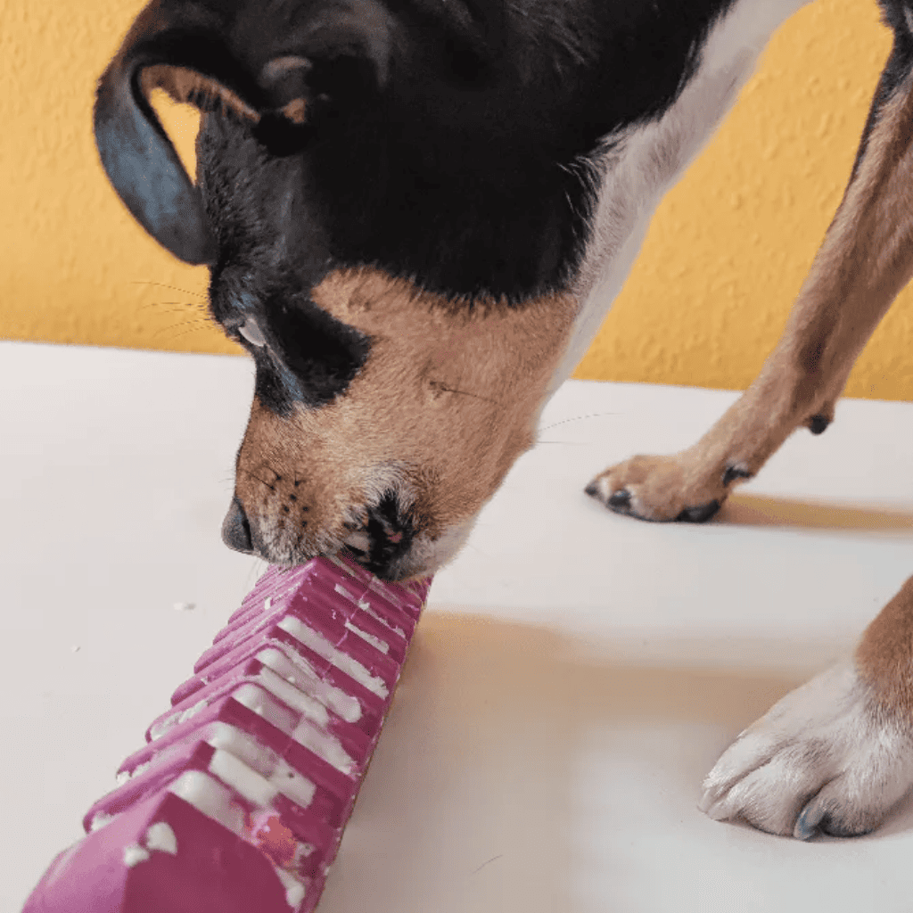 RUCAN Stick 5 Caucho 100% Natural para perros