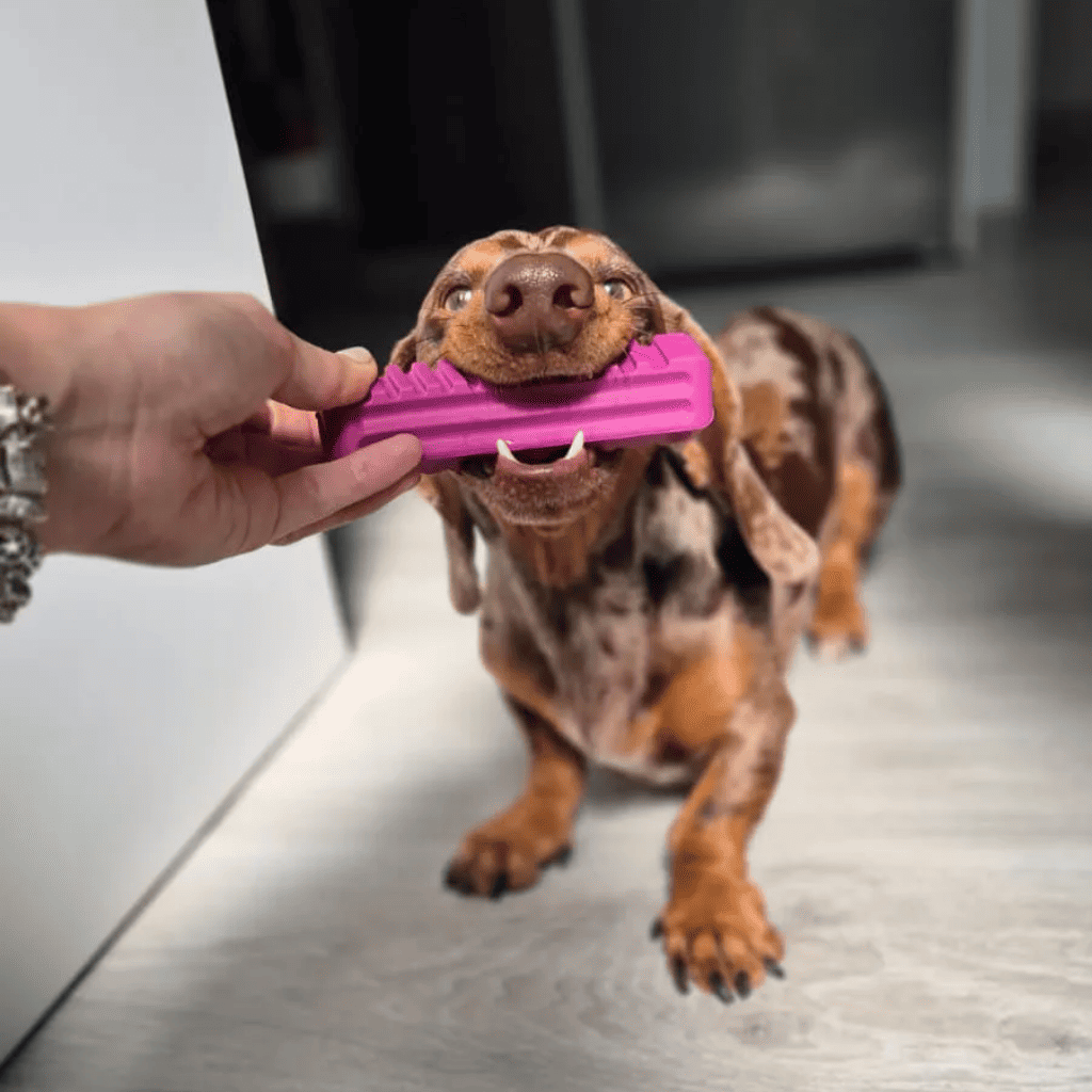 RUCAN Stick 5 Caucho 100% Natural para perros