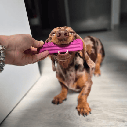 RUCAN Stick 5 Caucho 100% Natural para perros