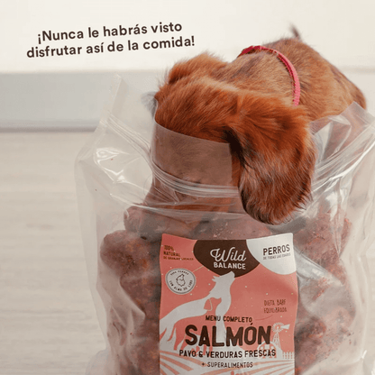 WILD BALANCE Menú BARF Salmón con Verduras Frescas